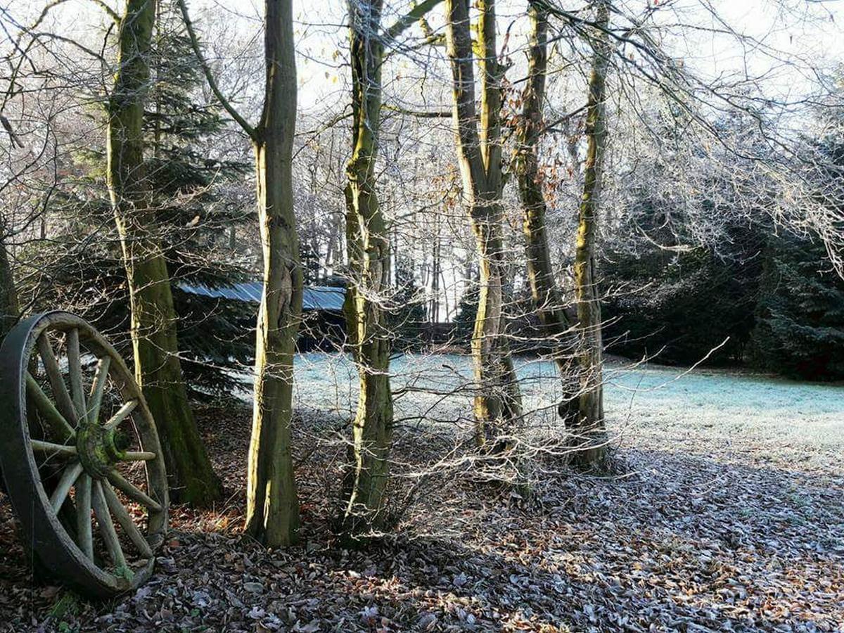 Zur Schanze Holtgast-Apen Exteriér fotografie